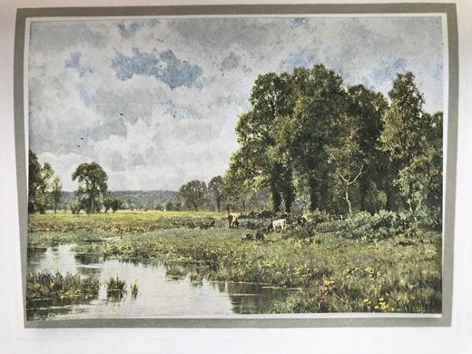 1912年 理查德·杰弗里斯自传《我心灵的故事》 8幅彩色手工贴图 漆布精装大32开 商品图10