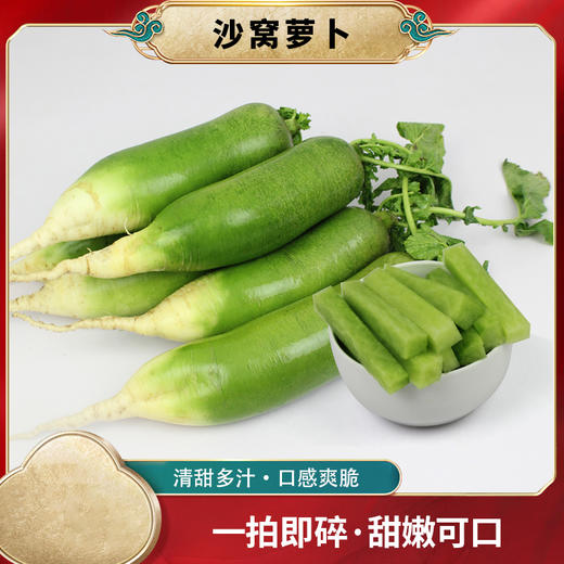 津农精品 莲到家 沙窝萝卜青皮萝卜5斤装 商品图0