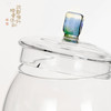 暗香疏影/秦权壶高端高硼硅耐高温煮茶器办公室大容量烧水壶 商品缩略图3