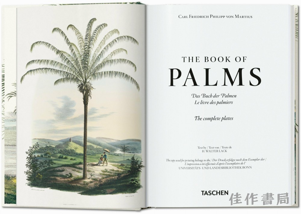 martius_book_of_palms_40_int_open001_002_003_40707_2205031752_id_1391159.jpg