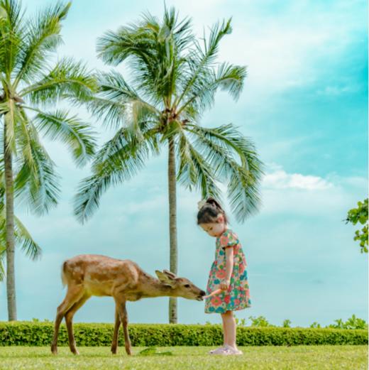 二区全海景套房 商品图5