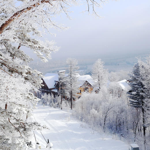 雪季大促！2晚/3晚【长白山柏悦酒店】滑雪酒店高奢享受！入住即享专车接送机，含正餐/漂流/儿童滑雪半日营、2大1小度假区滑雪权益，打卡汉拿山温泉、水乐园，嗨玩冬季长白！ 商品图8