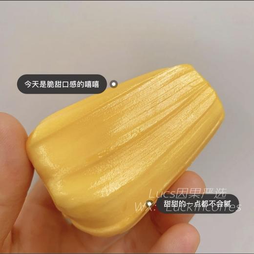 越南 菠萝蜜 15.8/盒/365g 商品图1