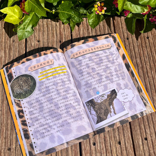 沈石溪野生动物保护大揭秘：豹子快跑（WX） 商品图4