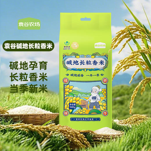 【新人抽奖兑换专用】 袁谷【碱地长粒香稻米油组合】稻米油260ml+碱地长粒香500g 商品图1
