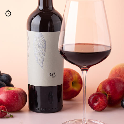 企鹅市集|西班牙阿塔拉亚酒庄 拉亚干红 百年酿酒家族打造 石墨可可黑加仑 性价比口粮 商品图2