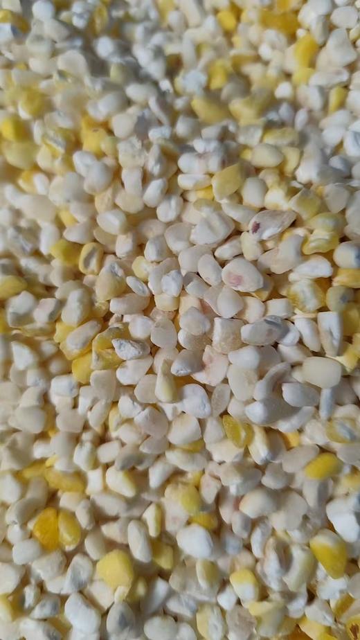 大米/花豆/红豆/黄豆～黑龙江 商品图4