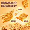 【高蛋白奇亚籽肉松饼干】营养高蛋白特添奇亚籽 商品缩略图3