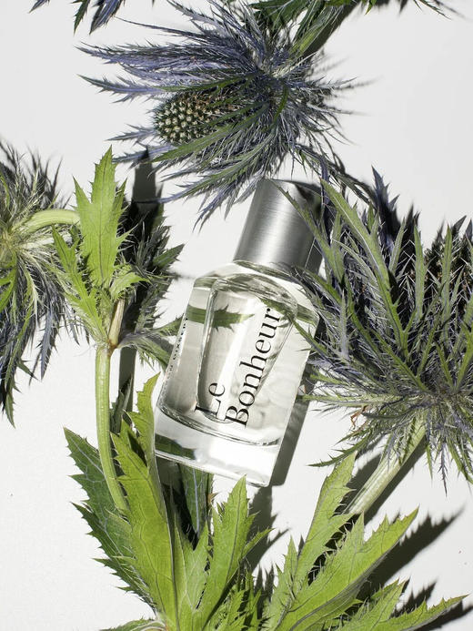 MD｜放纵 La Bonheur  [ 17号房子_  ] 商品图1