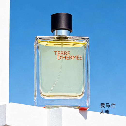 【礼想心动】Hermes 爱马仕 大地淡香氛 100ml 商品图3