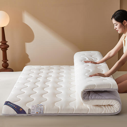 自然醒抗菌两用记忆棉床垫5公分LN 商品图10