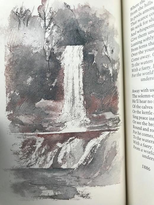 叶芝诗集 配插图 富兰克林图书馆豪华皮装本 商品图7