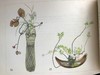 1933年 日本近代插花图集 60幅彩色手绘插图 线装本32开 商品缩略图9
