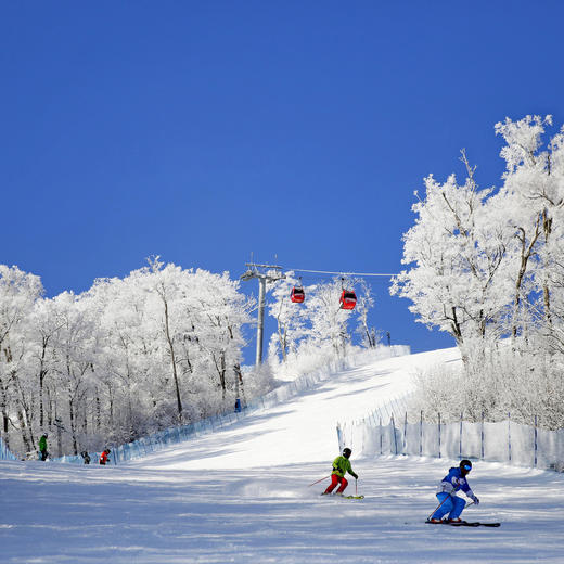 雪季大促！2晚/3晚【长白山柏悦酒店】滑雪酒店高奢享受！入住即享专车接送机，含正餐/漂流/儿童滑雪半日营、2大1小度假区滑雪权益，打卡汉拿山温泉、水乐园，嗨玩冬季长白！ 商品图2