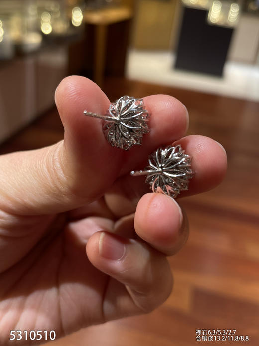 5310510，蛋面耳钉。具体价格微信咨询 商品图7