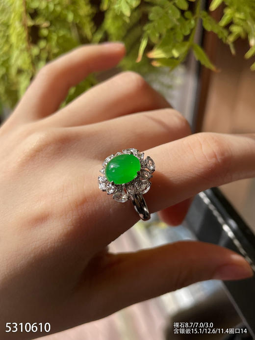 5310610、蛋面戒指。具体价格微信咨询 商品图4