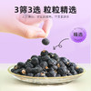 青海黑枸杞牛头果大果280-380粒黑枸杞250g 商品缩略图9