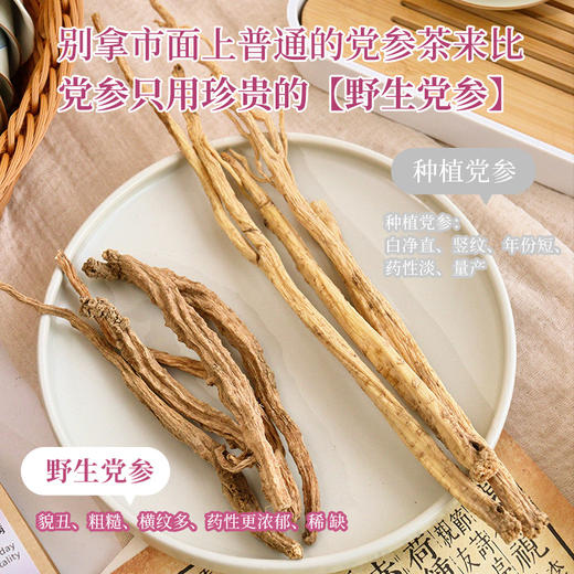 茶秘密·紫苏党参饮｜广东省中医院院长张忠德亲自为央视频推荐，防风寒感冒便民配方， 八大药性，一味调理 商品图1
