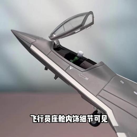 【长春航展、九三阅兵纪念品-新品重磅】特尔博-1:100歼50六代机飞机模型合金战斗机航模 商品图3