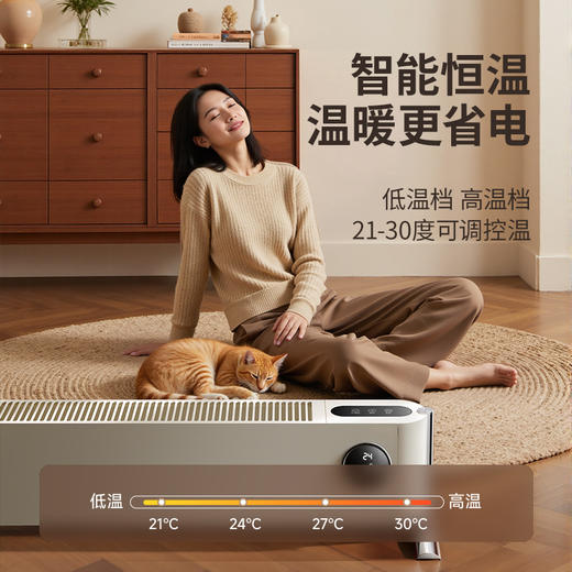 大宇 石墨烯踢脚线取暖器【该商品不支持用券】 商品图0