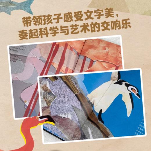 诺贝尔科学馆：自然诗（精）X 商品图3