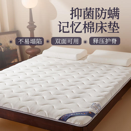 自然醒抗菌两用记忆棉床垫5公分LN 商品图0