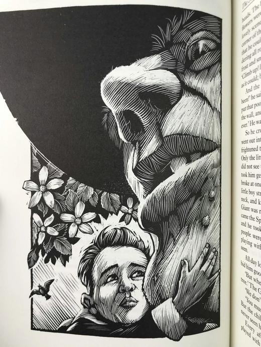 爱尔兰短篇故事集 配插图 弗里欧书社函装本 商品图11