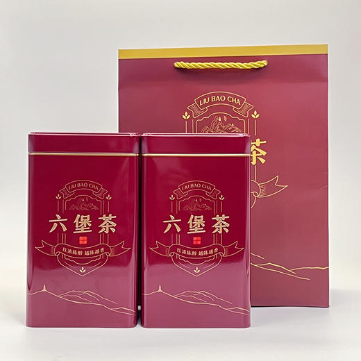 问年丨槟榔香 广西六堡茶 黑茶 2016年 一级 250g 买2罐配手提袋（配试饮装） 商品图3
