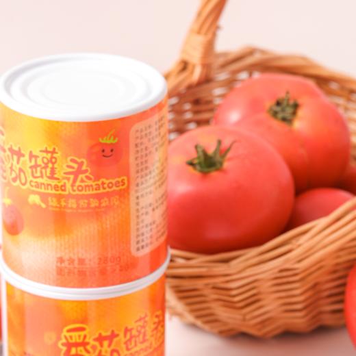 有机番茄罐头 绿手指有机基地种植番茄 280g/罐【京东快递送货上门】 商品图2