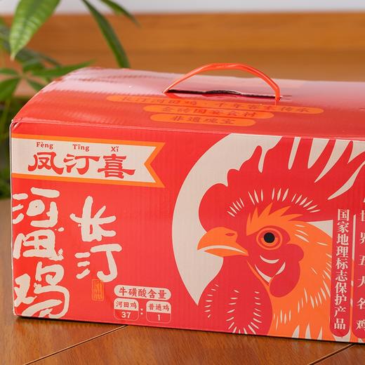 凤汀喜长汀河田鸡|世界五大名鸡之一！白切皮脆肉滑，炖煮汤浓味鲜 商品图9