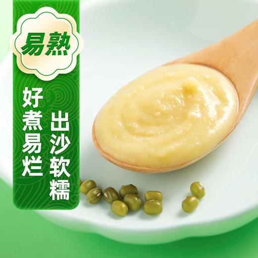 十月稻田 绿豆 500g/袋 商品图1