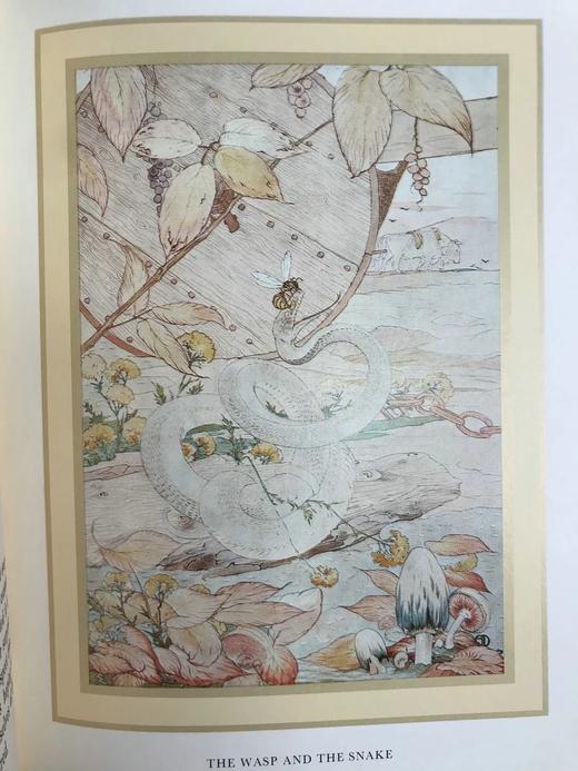 伊索寓言 戴莫德20余幅彩色插图 精装18开 商品图7