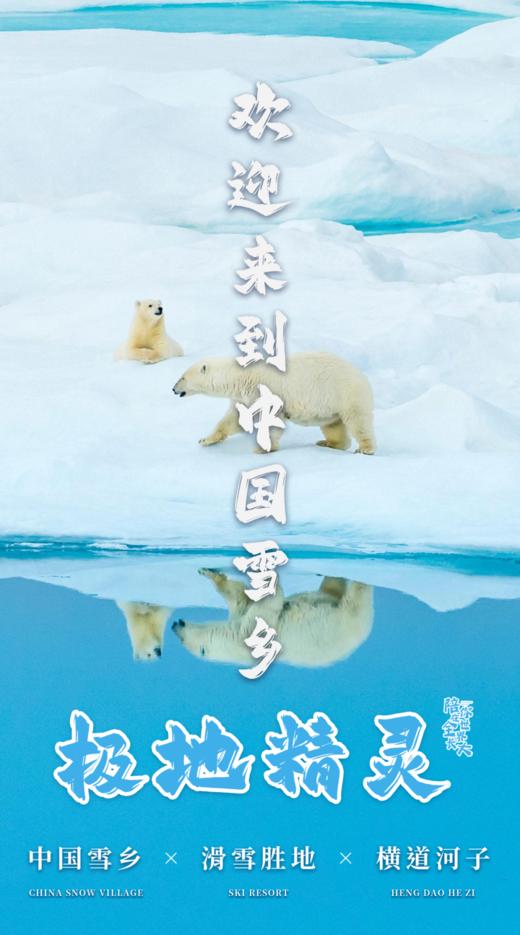 【寒假亲子】哈尔滨C线丨极地精灵：深度雪乡38H，北极熊酒店与熊“共眠”，东北虎“吸猫”现场，穿越林海雪原，硬核雪国之旅！ 商品图0