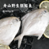 舟山野生银鲳鱼 | 黄金海域活鲜捕捞 急冻锁鲜  全国唯一天然野生银鲳渔场 肉质饱满嫩而不散 刺少肉厚 细腻如蒜瓣 入口鲜甜回甘 商品缩略图0