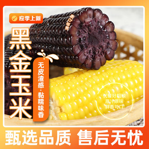 【山西好物】黑金糯玉米  2.5斤 商品图1
