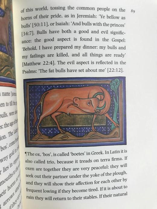 动物寓言集 近百幅彩色插图 精装16开带书匣 商品图8