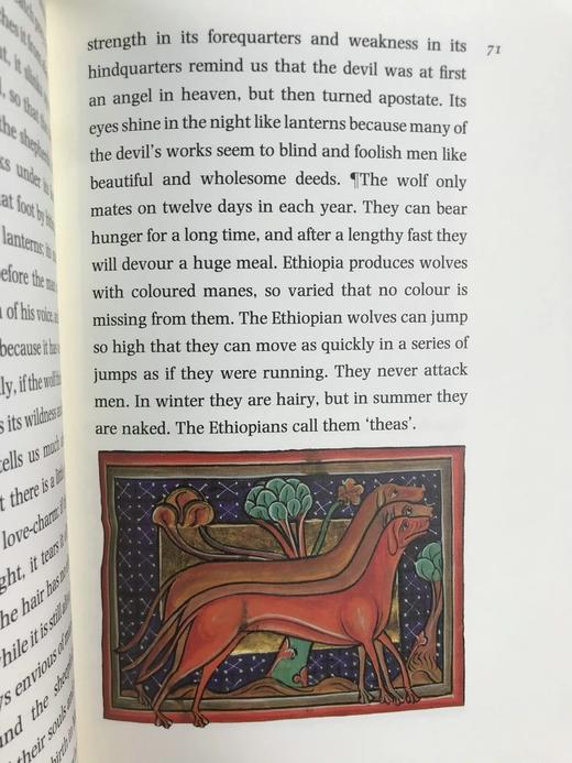 动物寓言集 近百幅彩色插图 精装16开带书匣 商品图13