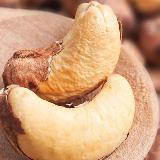 紫皮腰果  500g/罐 商品图5