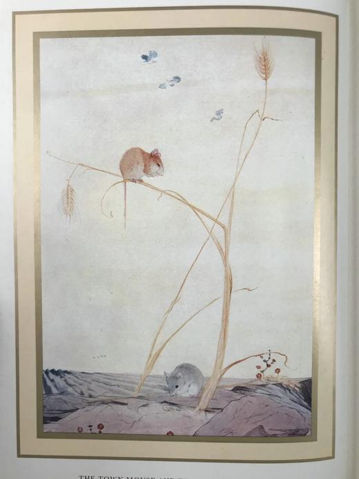 伊索寓言 戴莫德20余幅彩色插图 精装18开 商品图2