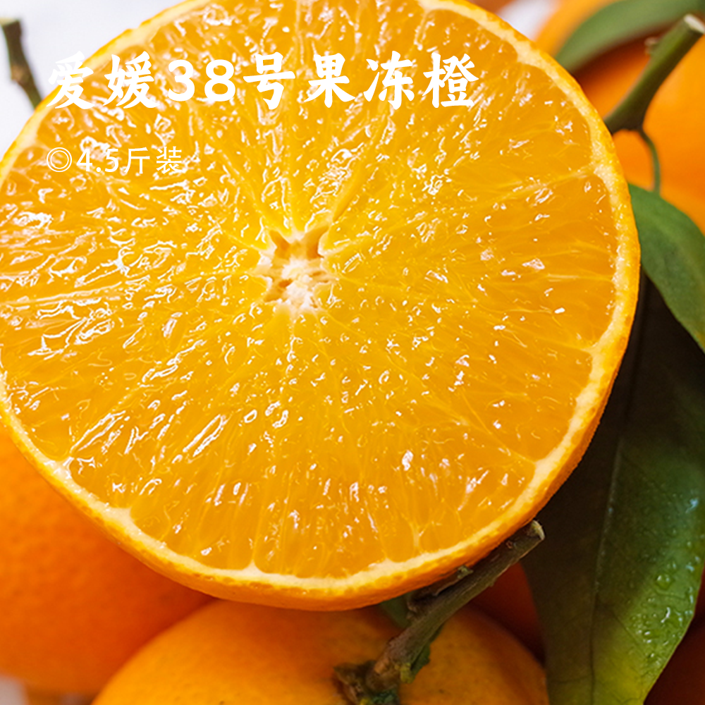 爱媛38号果冻橙 |  可以直接吸着吃的橙子 果肉鲜嫩 口口爆汁 Q弹爽滑 皮薄如橘 少籽化渣