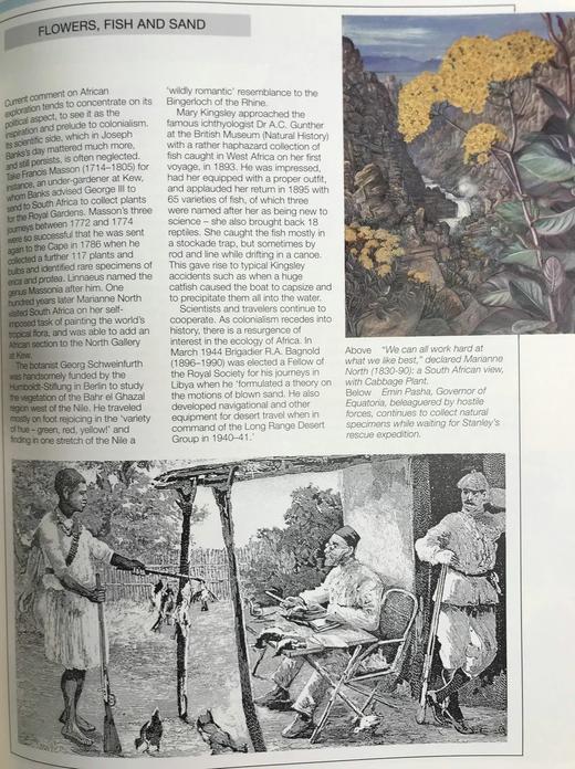 世界探险史 数百幅插图 精装大16开 商品图14