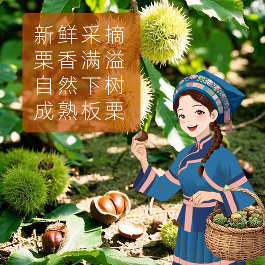  礼盒装｜地理标志产地 贵州望谟板栗 香粒渥精品香栗仁  清甜喷香，粉糯爽口！ 商品图2
