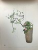 1933年 日本近代插花图集 60幅彩色手绘插图 线装本32开 商品缩略图11