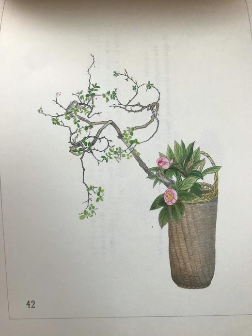 1933年 日本近代插花图集 60幅彩色手绘插图 线装本32开 商品图11
