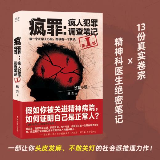 疯罪1（13份真实卷宗×精神科医生绝密笔记，一部让你头皮发麻、不敢关灯的社会派推理力作！） 商品图0