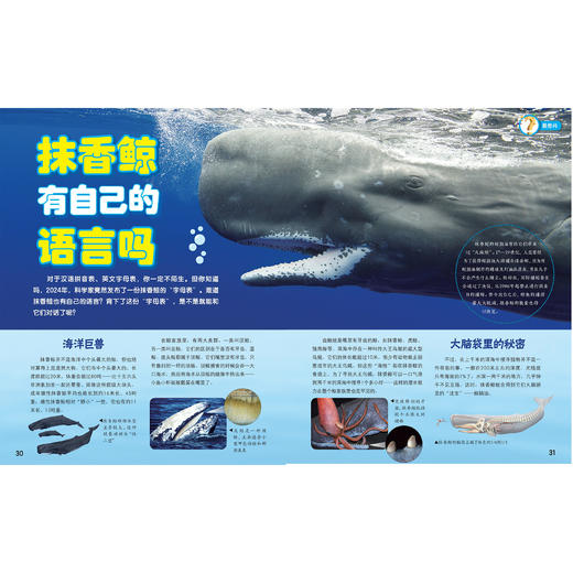 《十万个为什么》12期征订 （科学启蒙 /探索科技 /发现自然/健康少年） 商品图10