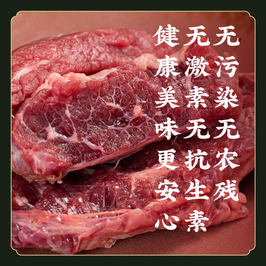 【安心好肉】高原理塘牦牛牛腩 净牛肚 雪域高原 生态放养 散养 新鲜现杀原切原味 陈皮牛肉 胡椒肚汤原料 E不参与优惠和折扣 商品图4