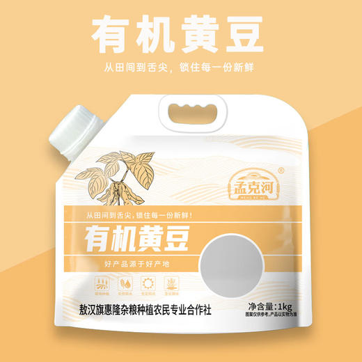 孟克河 有机黄豆1kg 商品图0