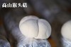 高山猴头菇 商品缩略图0