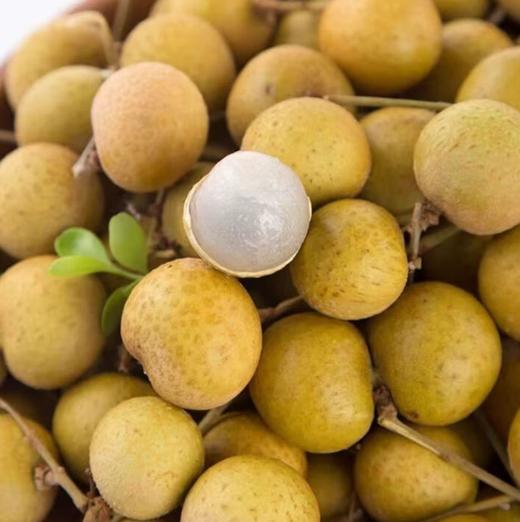 柬埔寨进口龙眼500g 商品图0